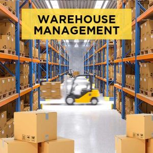 Warehouse Management Automation & Software Solutions